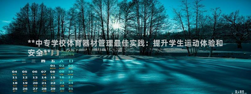 必一运动 b 体育素