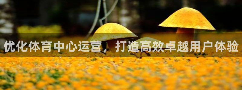 必一体育app下载装