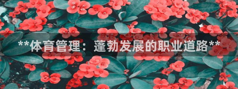 必一体育登陆：**体