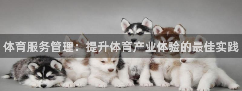 必一体育是啥：体育服