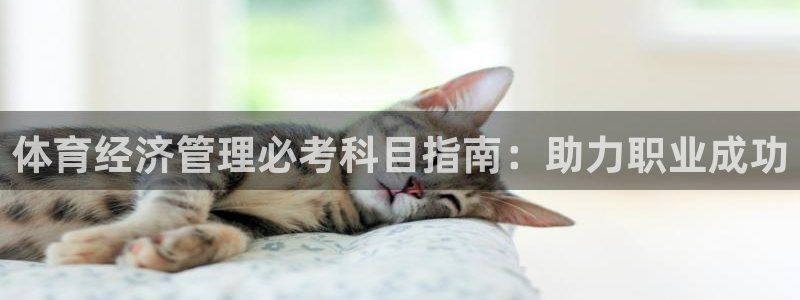 必一体育app官方下