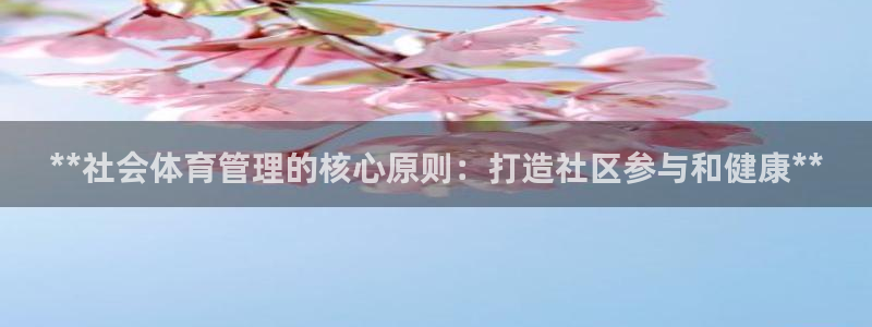 必一体育能提现大金额
