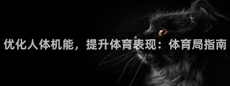 必一体育在线登陆：优