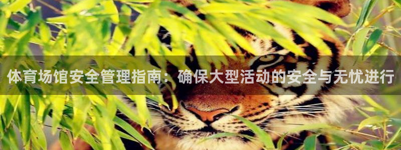 必一运动·(b-sp