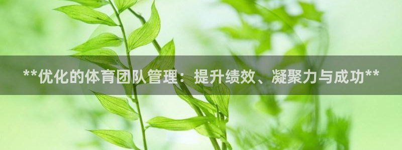 必一体育app下载装