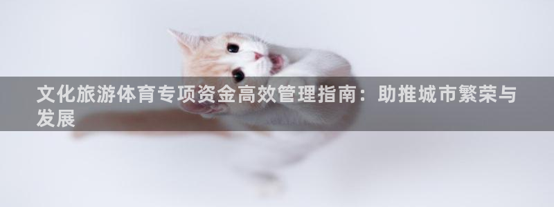 必一体育bsport