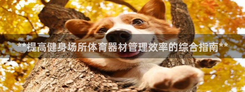 必一体育登录入口AP