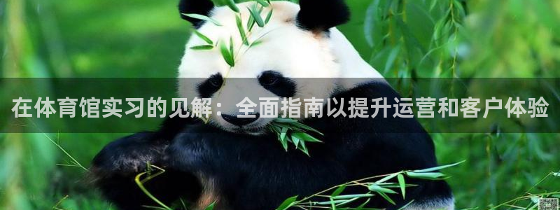 必一体育在线下载：在