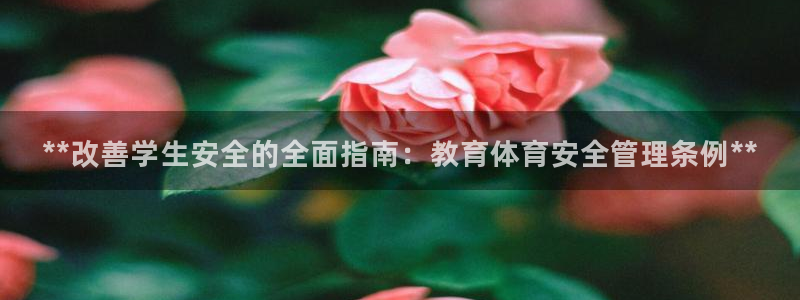 必一体育APP下载安