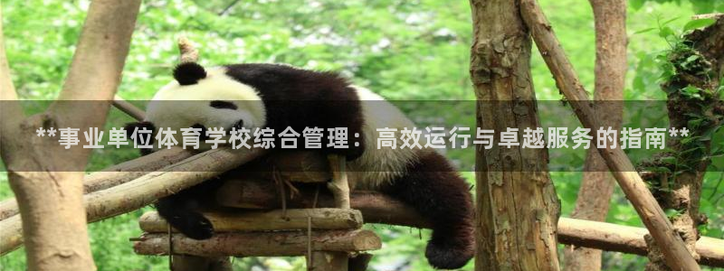 必一体育APP：**