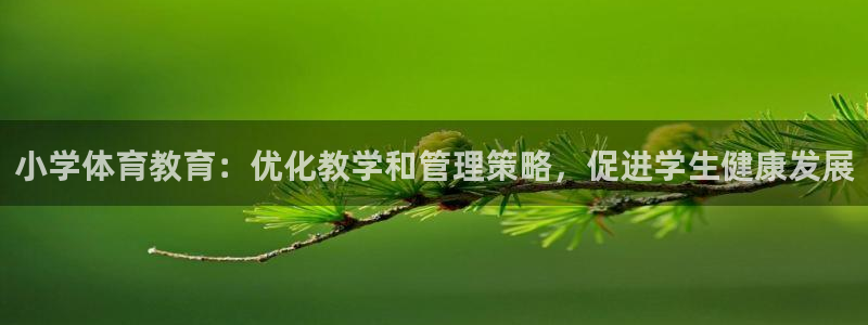 必一体育官网网站：小