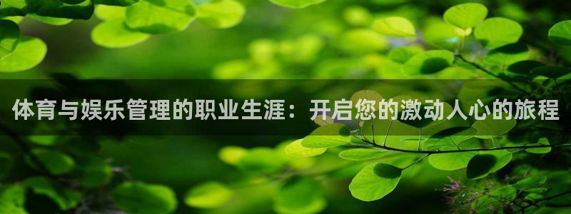 必一体育验证码：体育