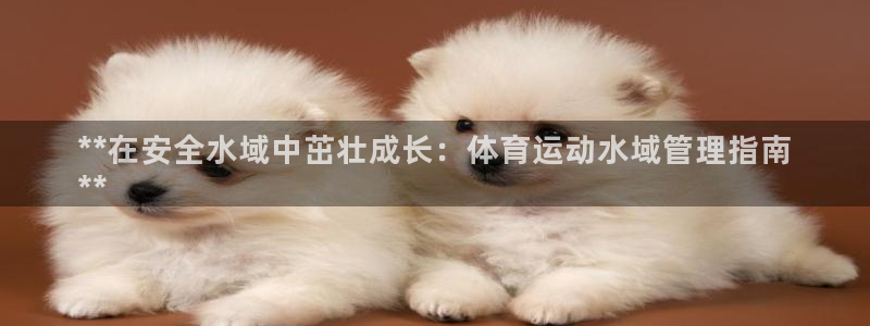 必一体育全站在线登录