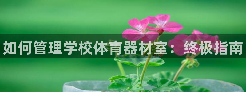 如何管理学校体育器材