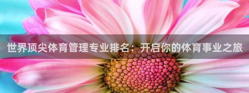 b体育必一运动网页版