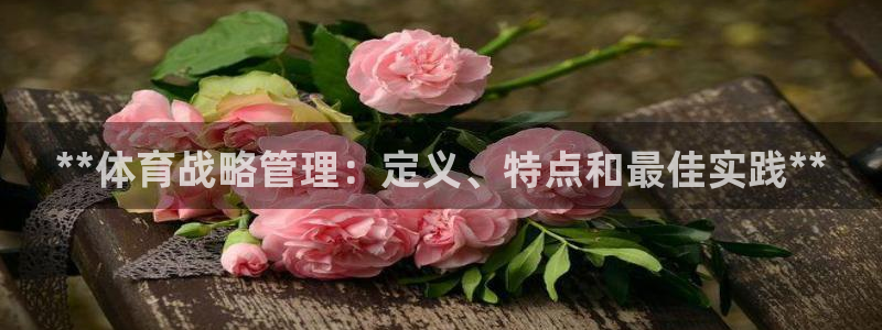 必一体育官网ios下