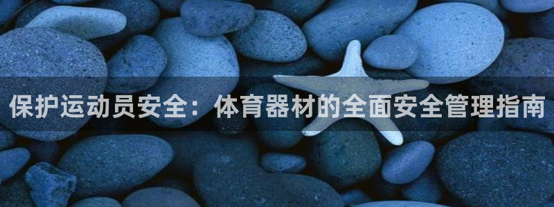 必一体育网页登录版官