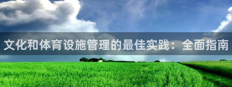 必一体育APP：文化