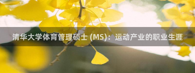 必一体育网站：清华大