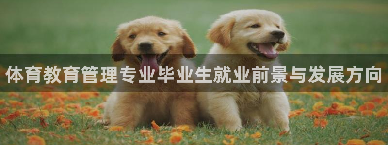 必一体育游戏特色：体