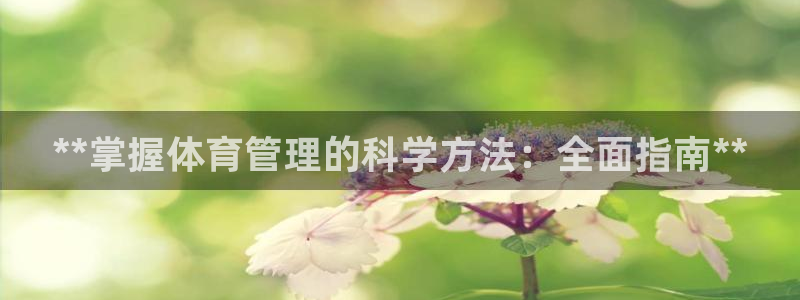 必一运动bsport