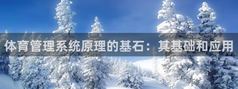 必一运动·(B-Sp