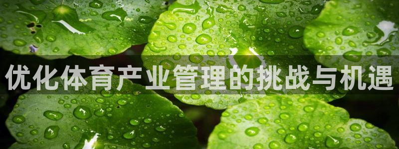 必一体育sport：