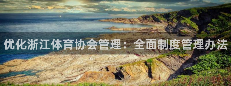 b体育官网下载入口a