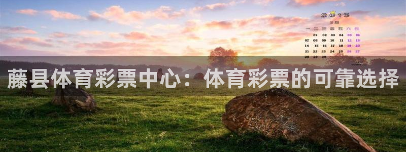 必一体育登入：藤县体
