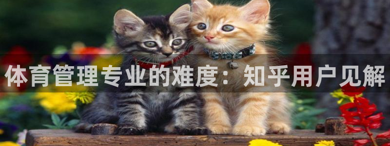 必一运动·(b-sp