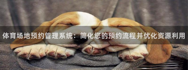 必一体育下载：体育场