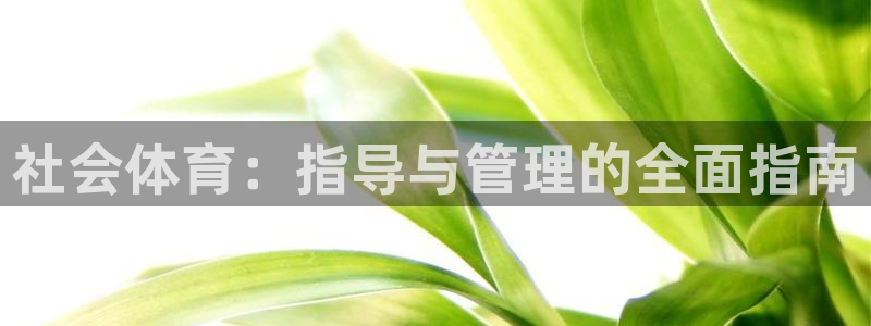 必一体育下载义：社会