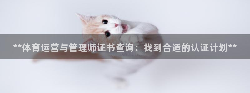 Bsport体育必一