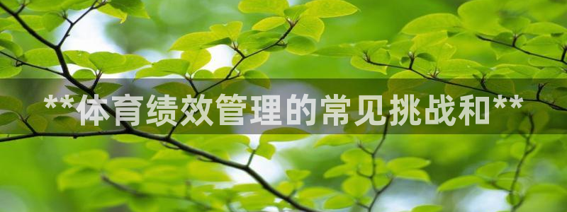 必一体育sport装