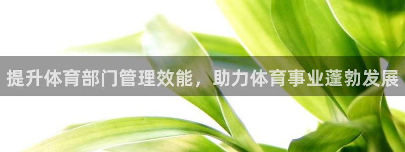 必一体育平台：提升体