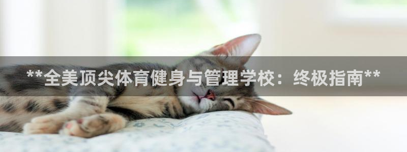必一体育下载：**全