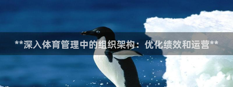 必一体育下载秀给网：