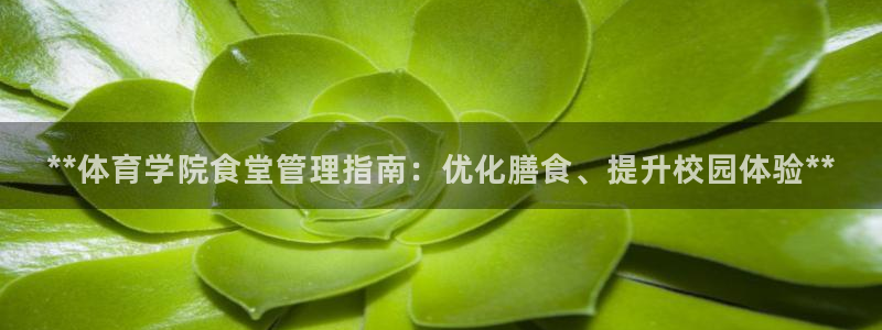必一体育APP：**
