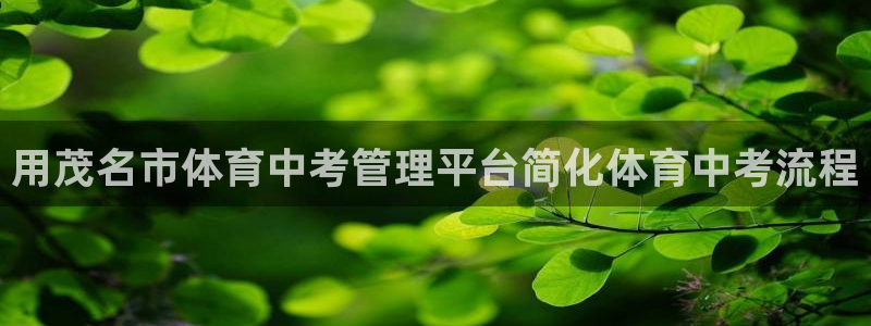必一体育官方app下