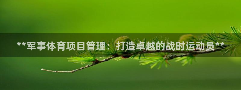 必一体育官网网址：*