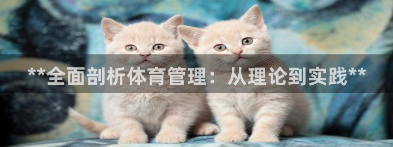 必一运动官网入口：*