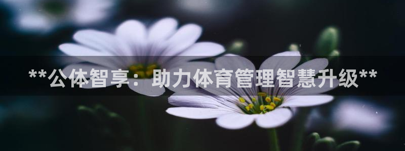 必一运动官网入口：*