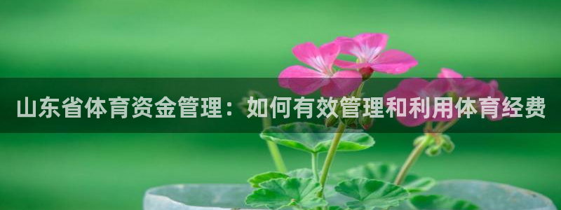 必一体育sport下