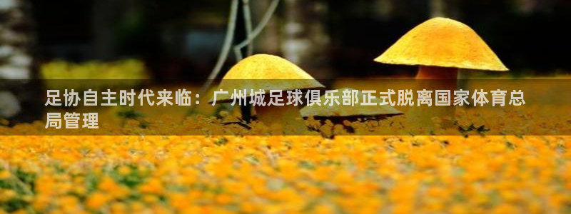 必一运动听的歌：足协