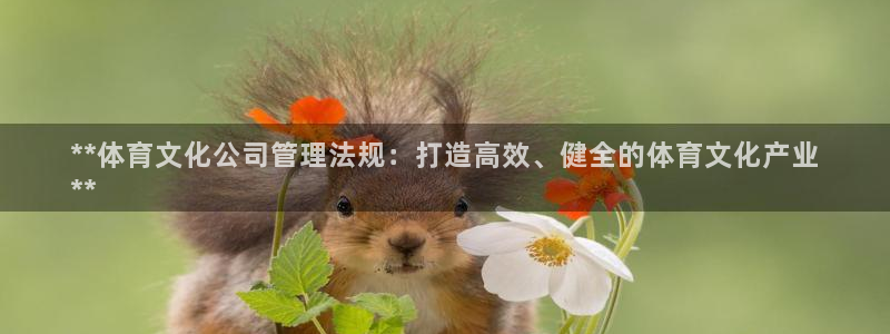 必一体育下载意思：*
