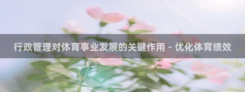 必一体育官网ios下