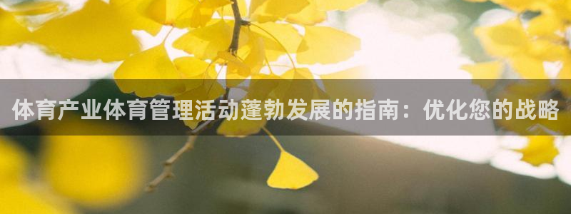 必一体育官方下载：体