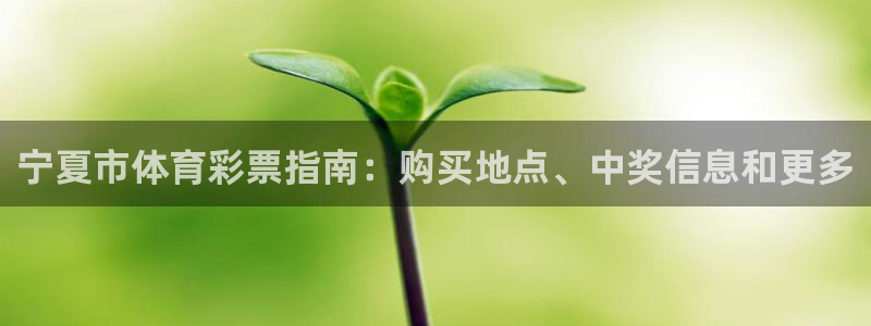 必一体育下载app下