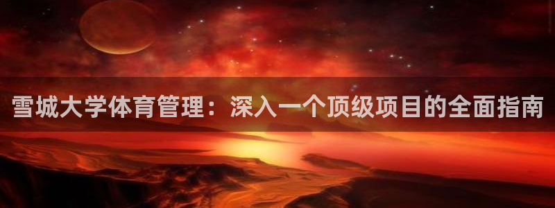 必一体育运动下载：雪