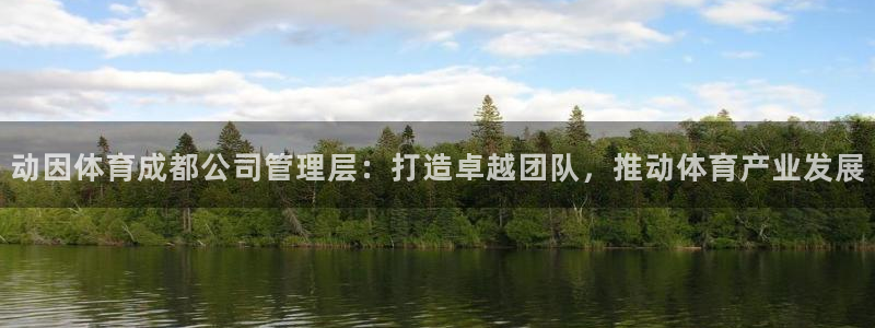 必一体育网页版登录：